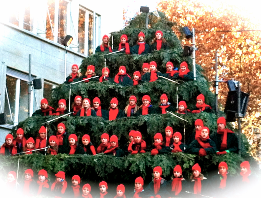 Singing Christmas Tree Newinzurich Com